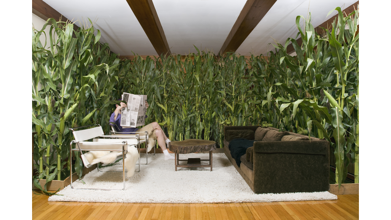 Man reading paper in room with corn