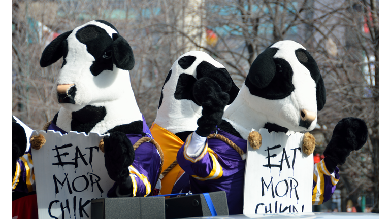 Famous Chick-fil-A Cows