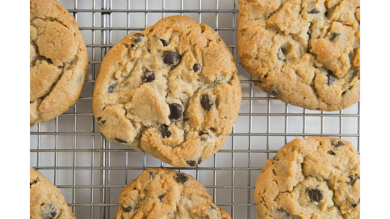 Studio shot of chocolate chip cookies