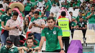 Mexico Soccer Fan Stabs TV Over World Cup Elimination [VIDEO]