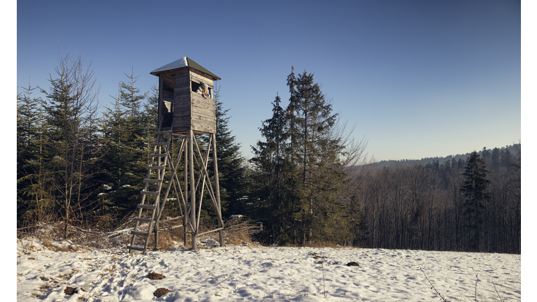 Woman enjoying looking at from from the hunting blind on top of the hill