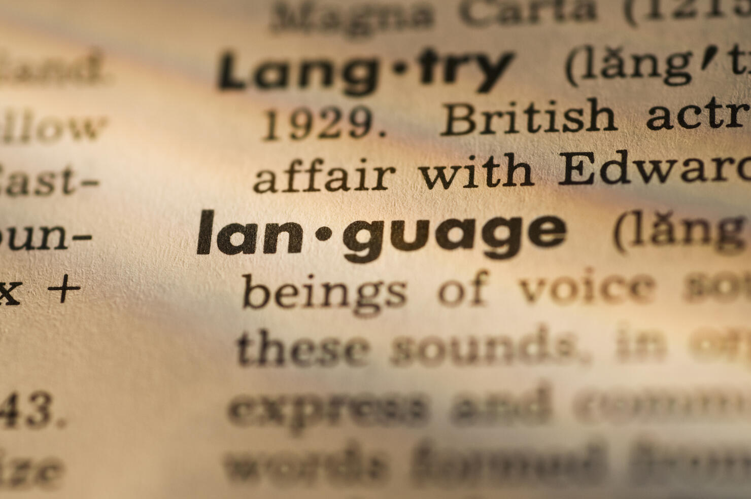 Definition of language in dictionary