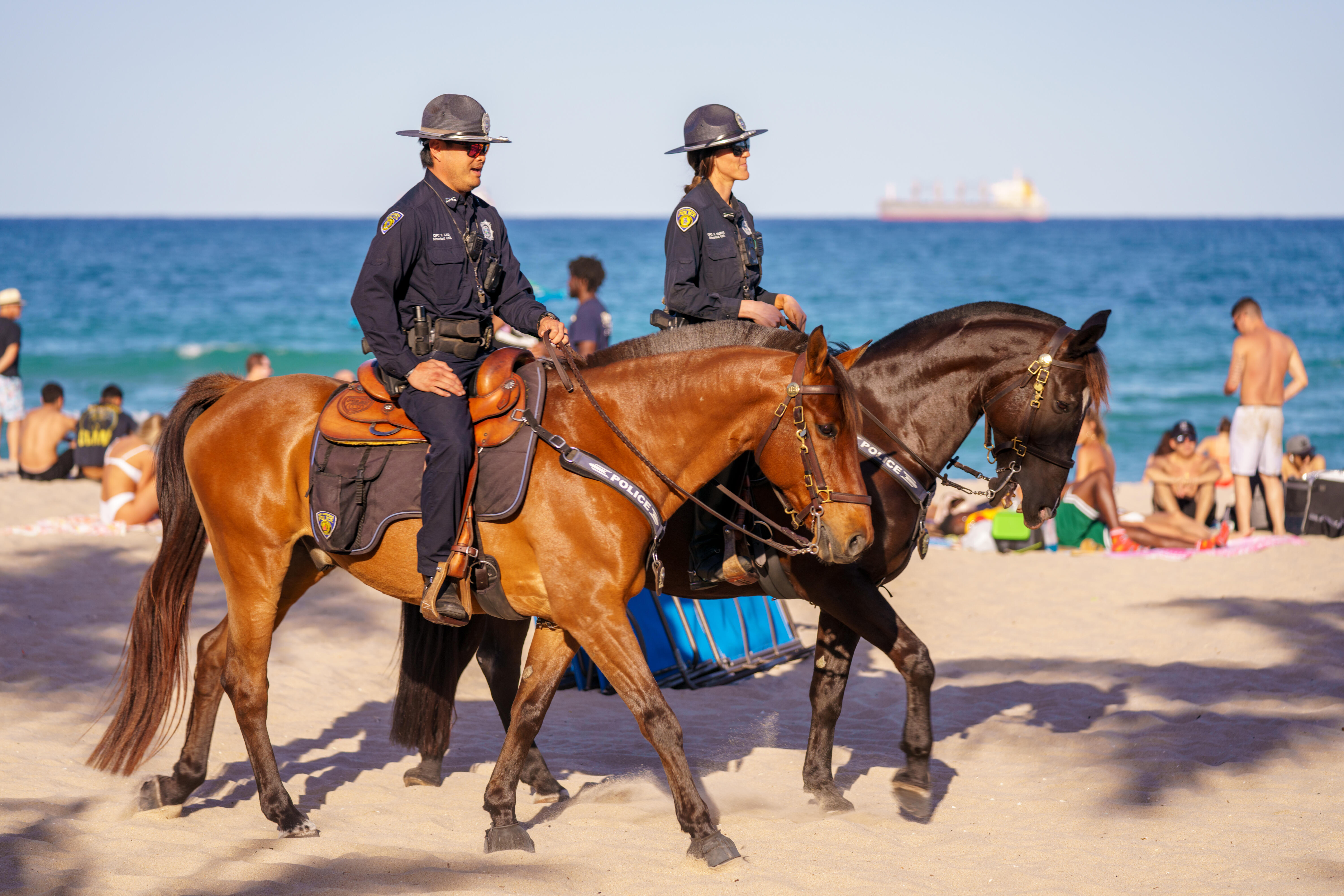 Florida Man Shocked He Was Arrested For Slapping Police Horse's Butt 