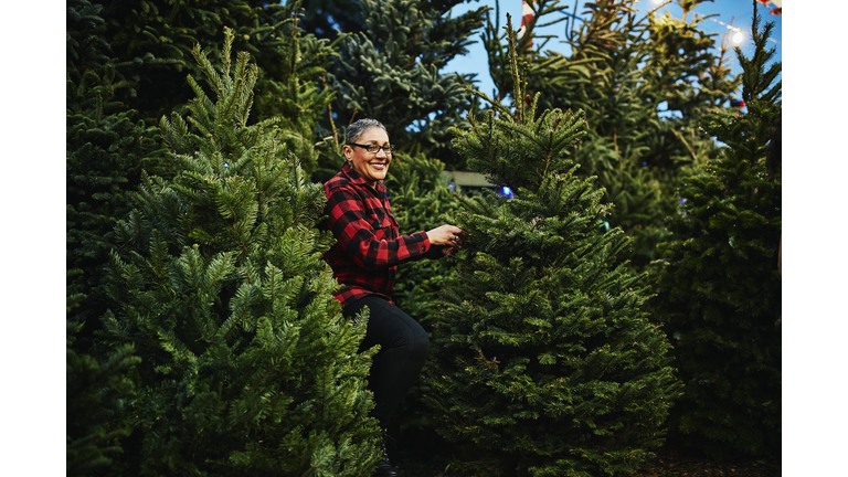 Smiling mature woman shopping for Christmas tree