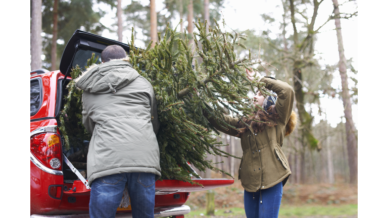 Young couple lifting Christmas tree into car boot