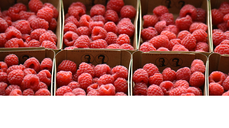 GERMANY-AGRICULTURE-FAIR-FRUIT-LOGISTICA