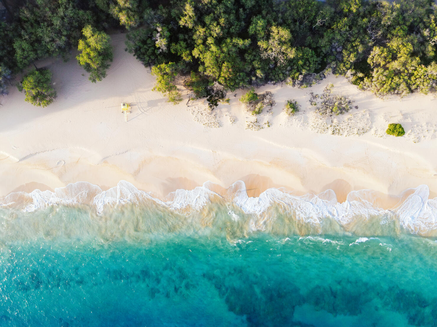 Beach Abstract