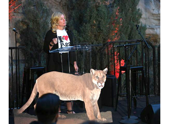 The Greater Los Angeles Zoo Association Hosts "Meet Me In Australia" To Benefit Australia Wildfire Relief Efforts - Inside