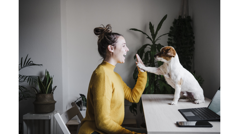 Playful woman giving high-five to dog while sitting at home office