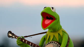 Dirty Dancing to the Muppets 