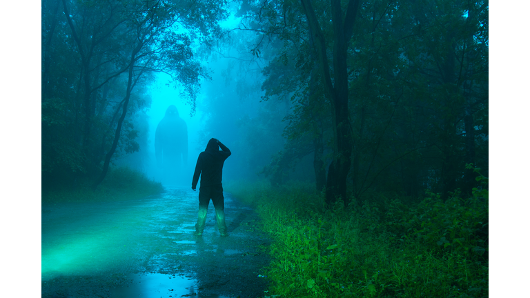 Cryptozoology, UFOs and Crop Circles