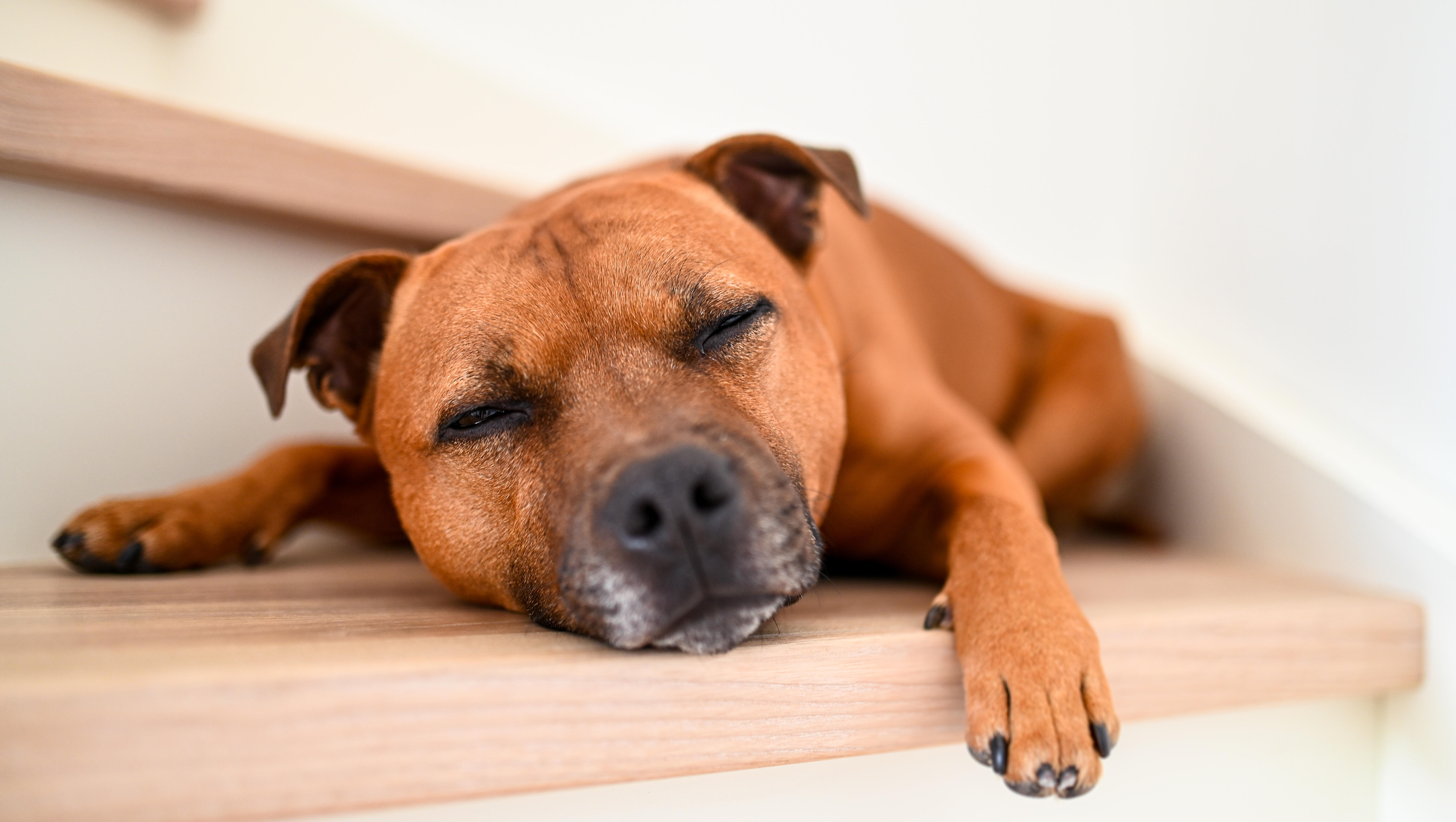 Mick's Morning News-Monday