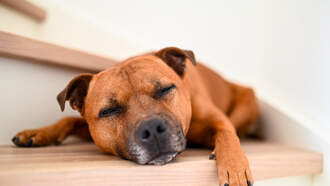 Mick's Morning News-Monday