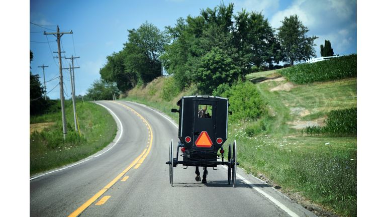 Amish Buggy