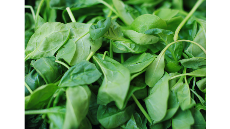 Heap of green spinach leaves