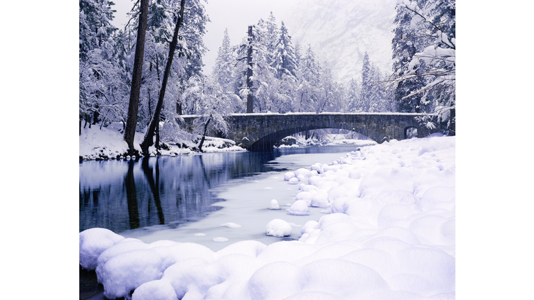 A river cutting through a snow-covered landscape and trees.