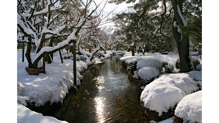 Dramatically dark river cutting through a white landscape and snow-covered trees.