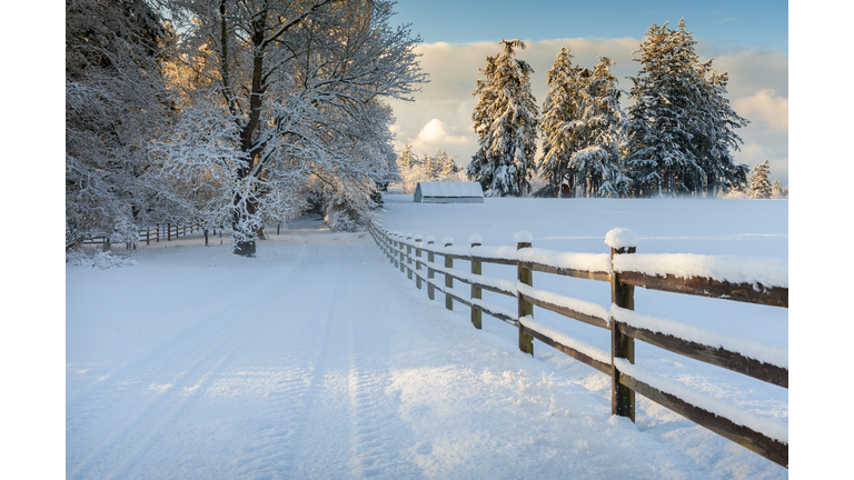 A wooden fence is stark against the fresh powdery snow that carpets the landscape and pines with a house in the far distance.