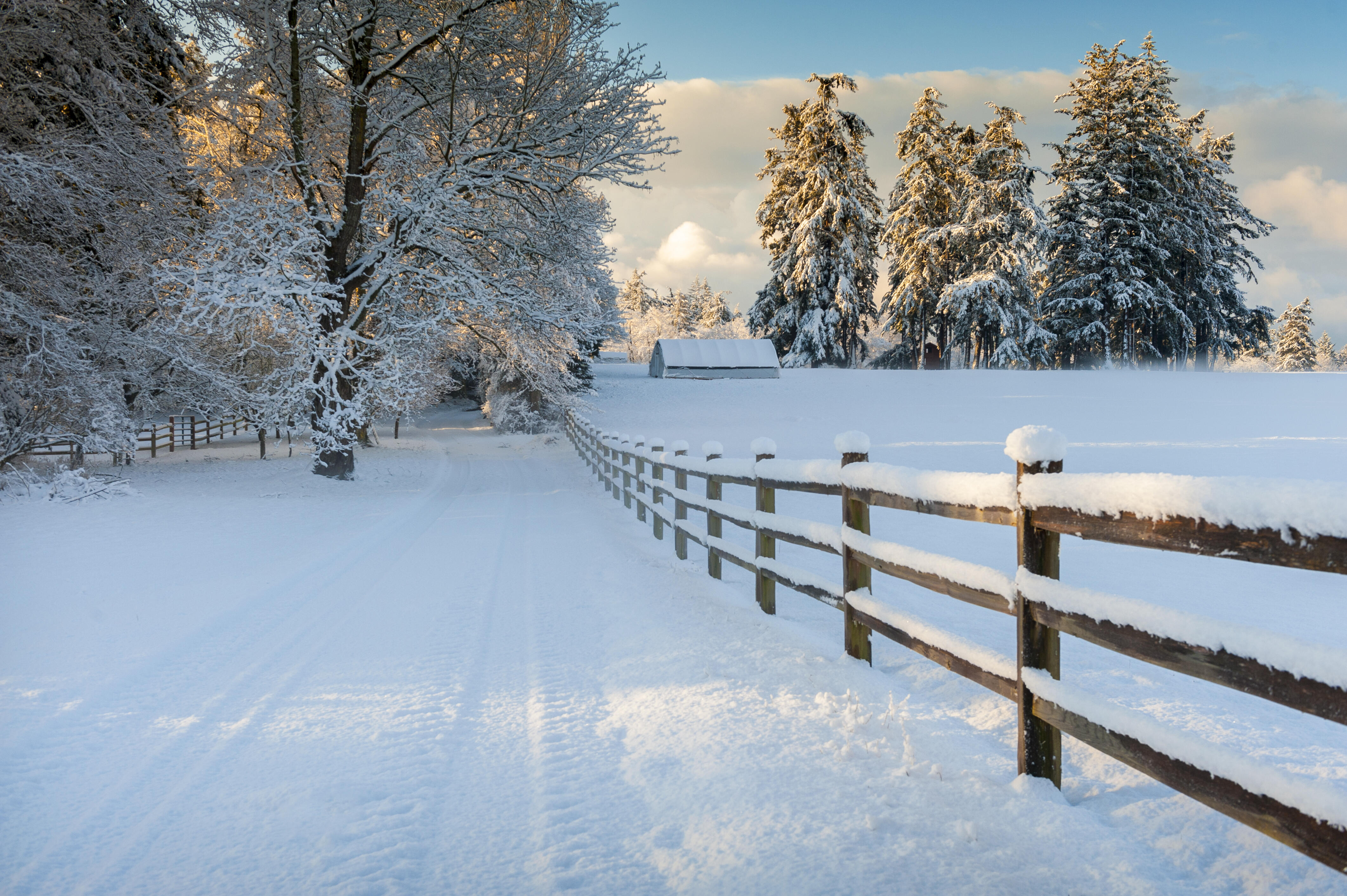 This Is The Biggest Snowfall Ever Recorded In Minnesota IHeart