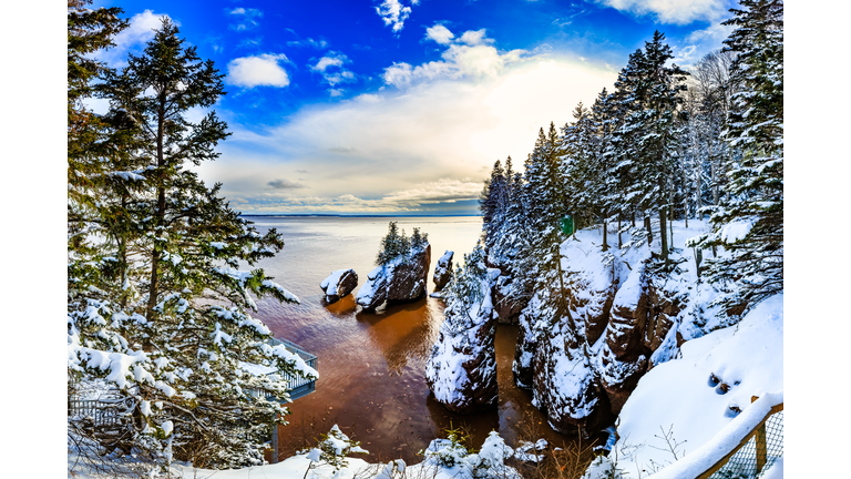 Snowy trees on a mountain in the forefront with a body of water cutting through the middle under a dark blue sky with lots of clouds.