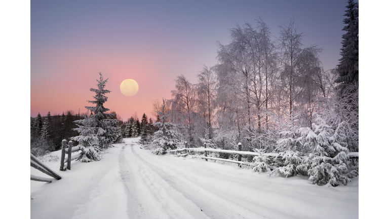 Snowy fence along a road cutting through a forest with a pink sunset in the background.