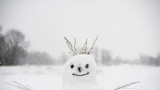 Baltimore Snow Report: January 6, 2025