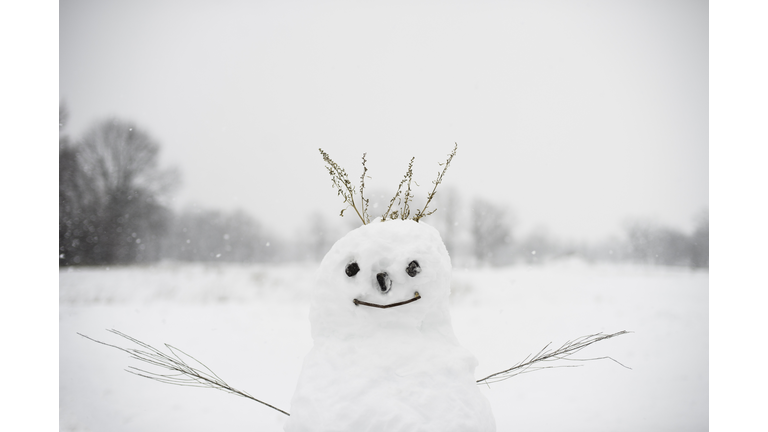 Snowman in snow-covered field