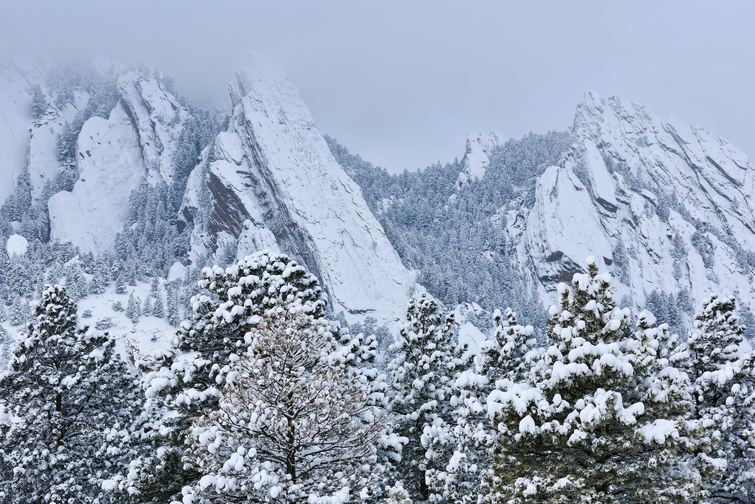 Flatirons Snow Flocked
