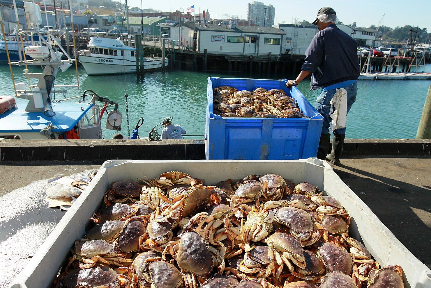 Dungeness Crab Season Is A Go! iHeart