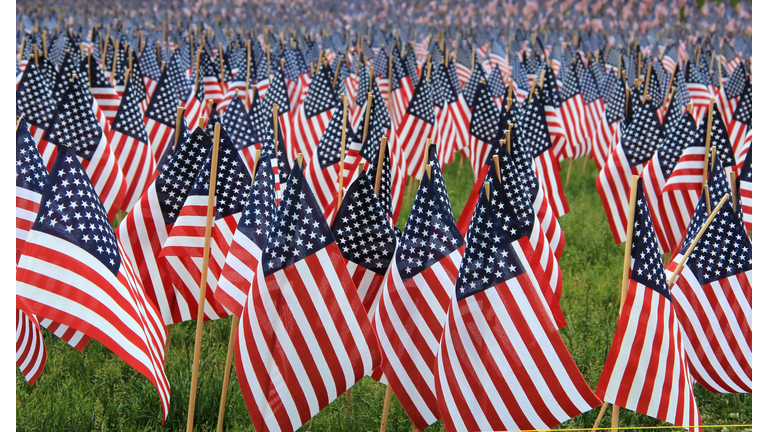 lots of American Flags on the meadow