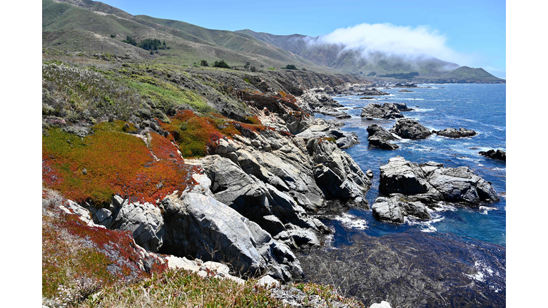 US-TRAVEL-PACIFIC-HEALTH