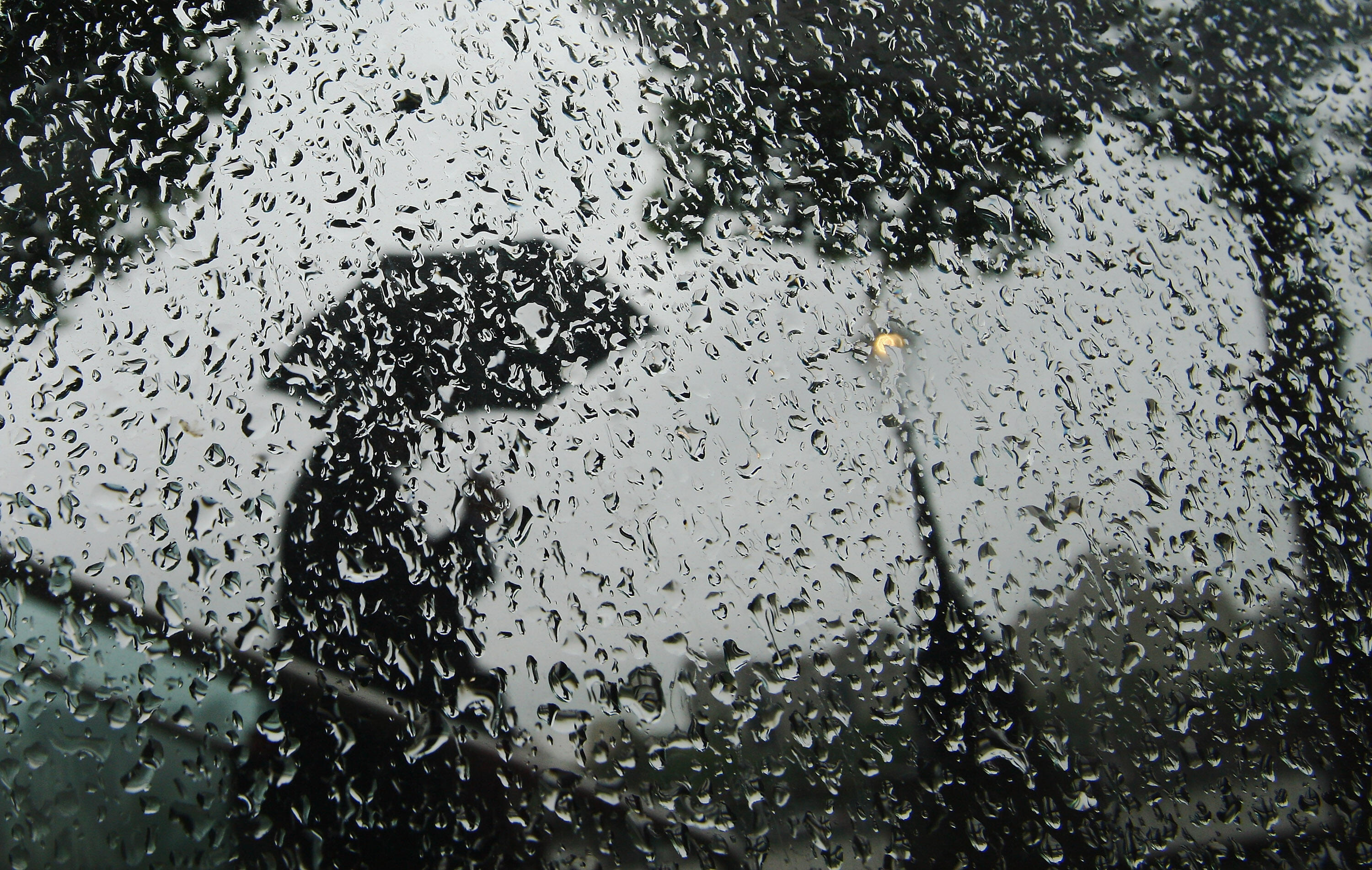 Кипящий дождь. Дождь в окне. Промозглый дождь. Дождик капает. Небывалый дождь.