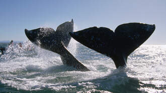 What's On Your Mind? (12/17/25)