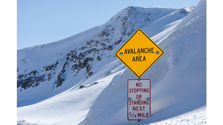 Avalanche Area Sign