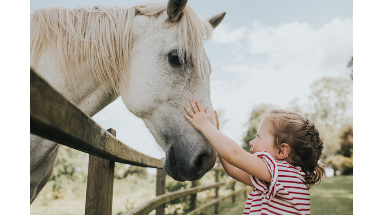 Little Girl reaching up to stroke her horse on the Nose