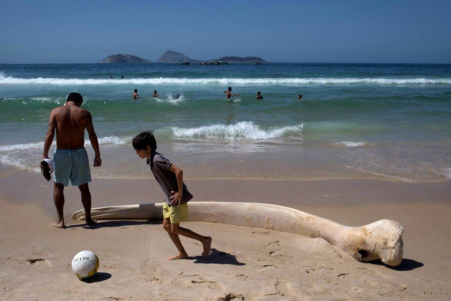 BRAZIL-WHALE-BEACH-ANIMAL