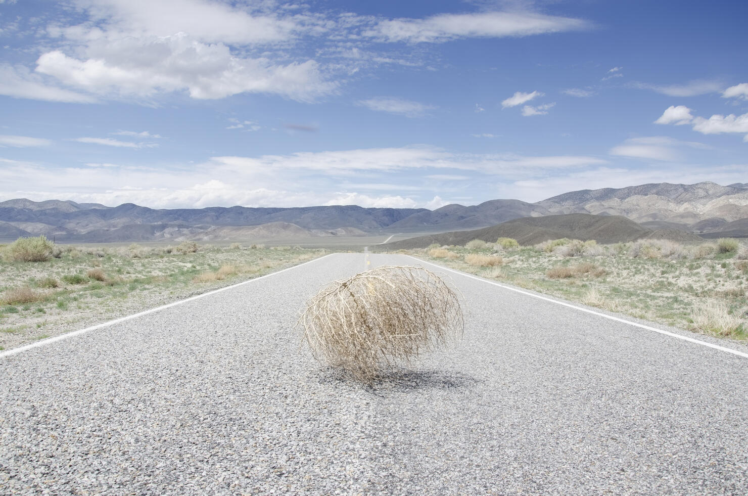 USA, California, Empty road with tumbleweed