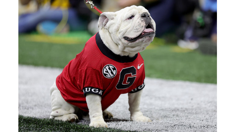 2022 CFP National Championship - Georgia v Alabama