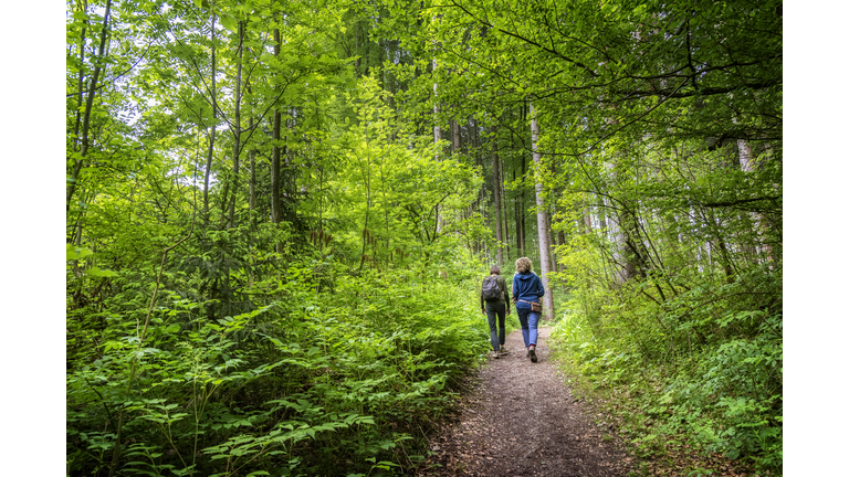 People hiking