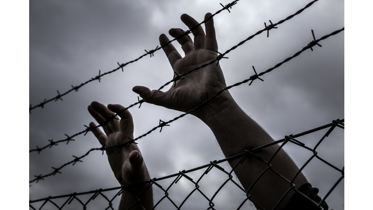 Hands on barb wire