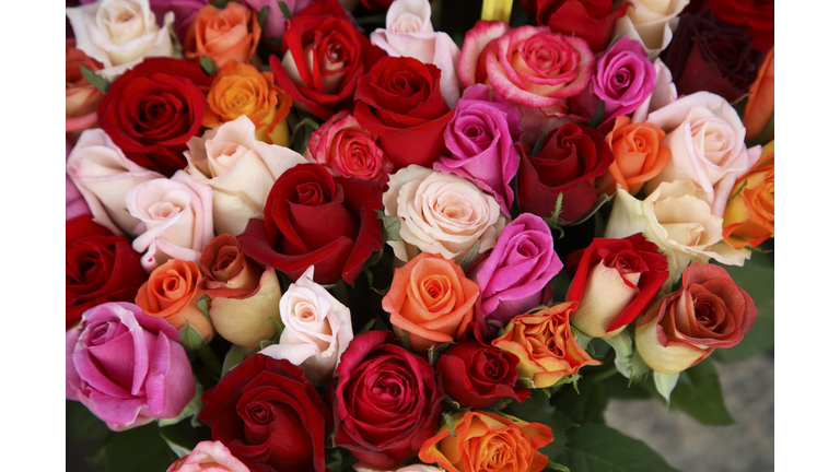 Roses for Sale at Flower Market