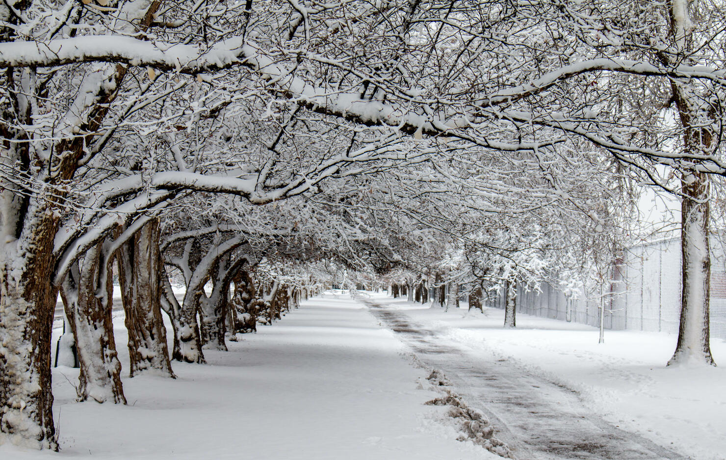 This Is The Biggest Snowfall Ever Recorded In Wisconsin | iHeart