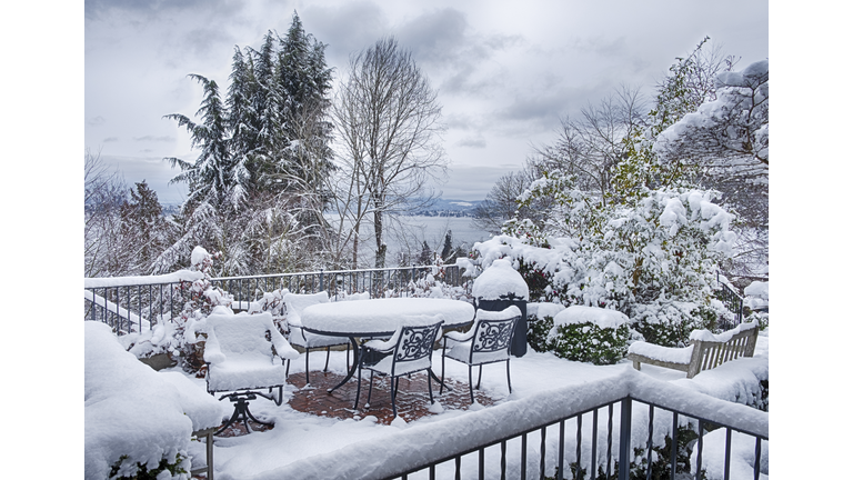 After The Snow In Seattle