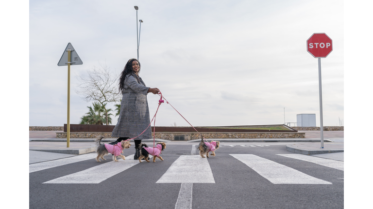 African American woman walking with her three dogs
