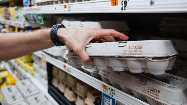 Popular Grocery Store Pulls Eggs Off Shelves Because They Are Too Expensive