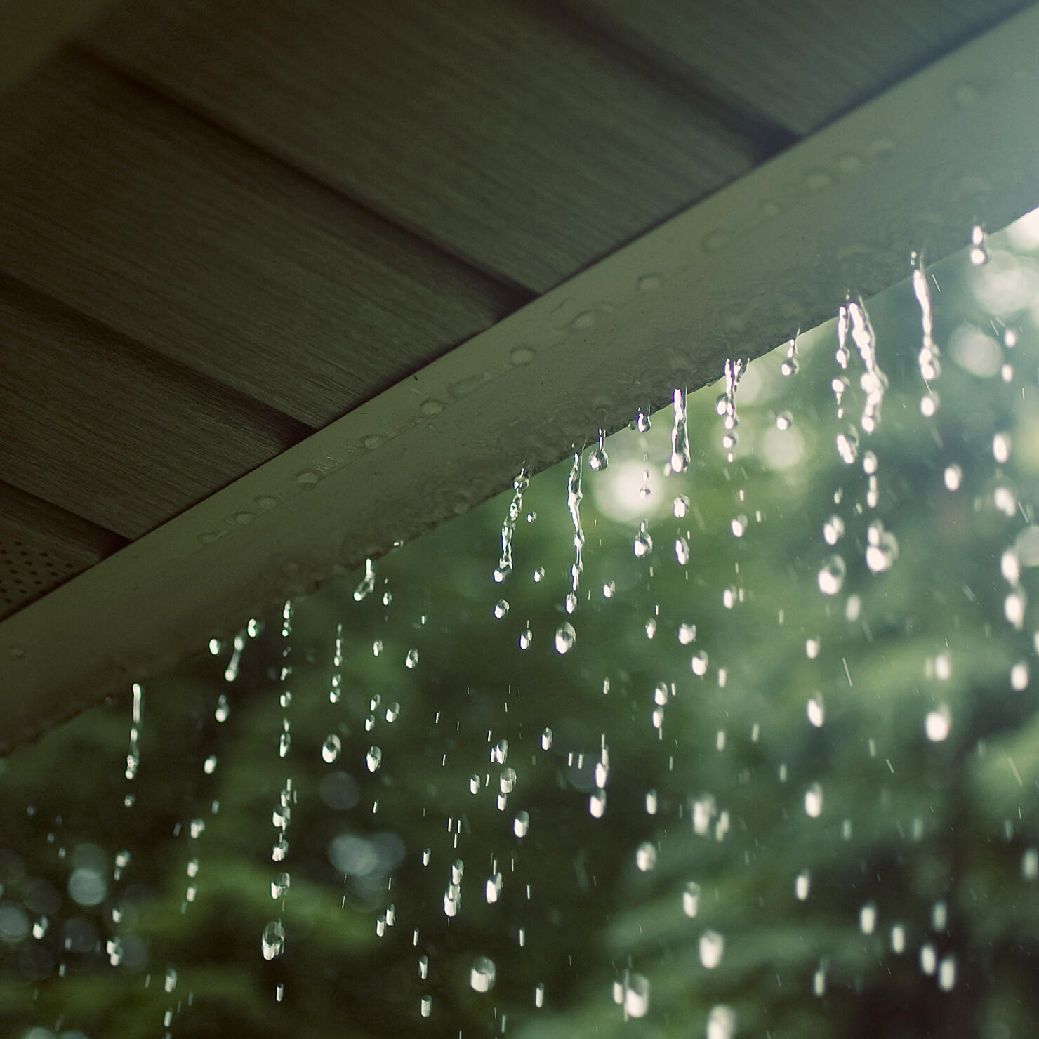 Falling rain