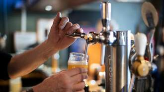 Dry January Is Almost Over, Here's How To Cure Your Hangover!