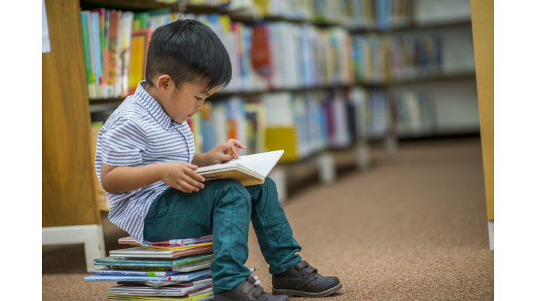 Boy Who Loves Reading