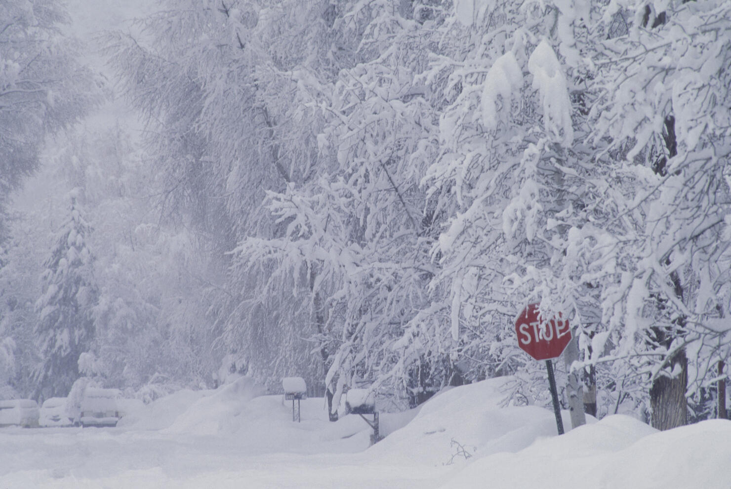 Stop Sign on a Snow Covered Street