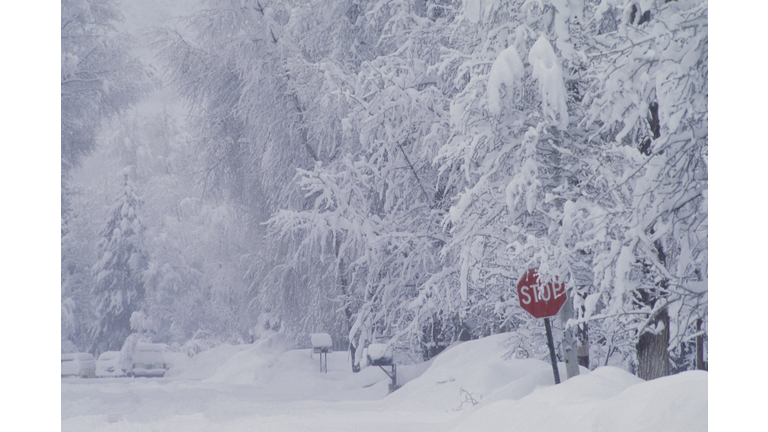 Stop Sign on a Snow Covered Street